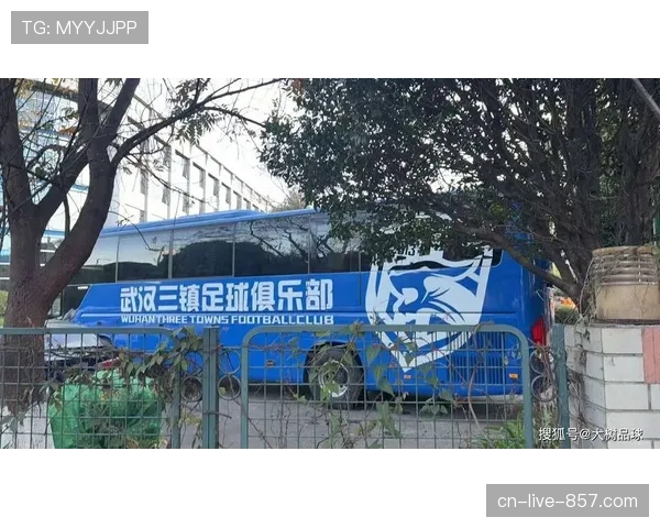 深圳新鹏城重金引援遭遇伤病潮 阿代米长期伤停打乱部署